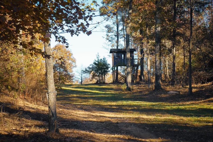 B3 Whitetails - Kentucky Whitetail Deer Hunting Stand 01