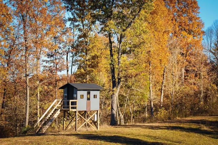 B3 Whitetails - Kentucky Whitetail Deer Hunting Stand 02